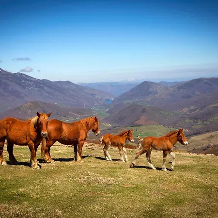 La Casona De Lombrana, En Polaciones Lantställe